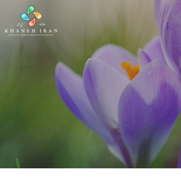 Iranian Nonprofits Near Me - South Bay Persian Heritage Foundation